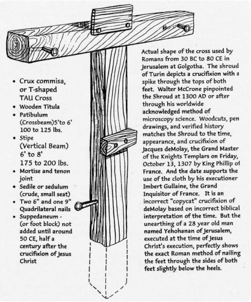 Crux commissa